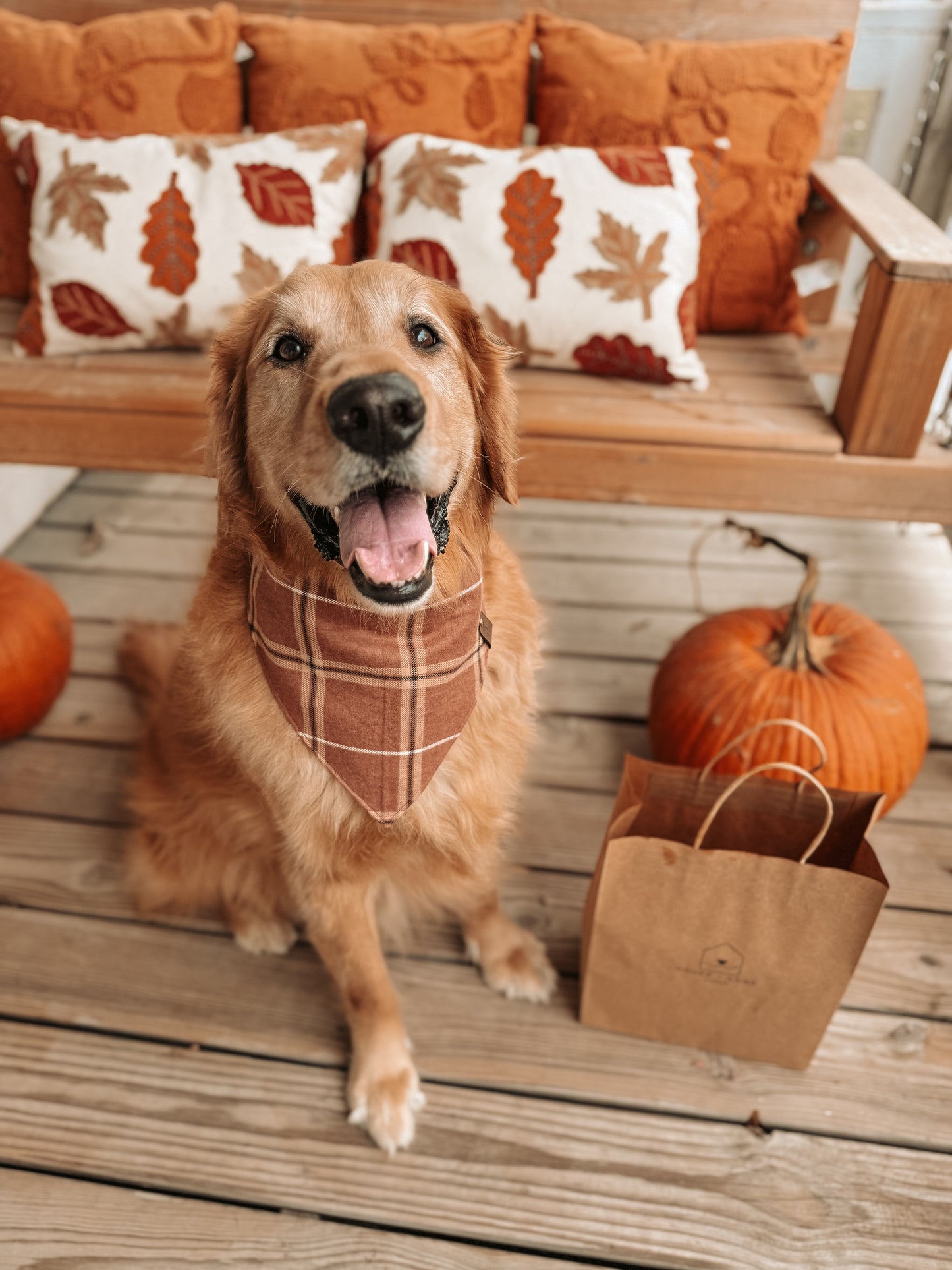 Thanksgiving Bundle