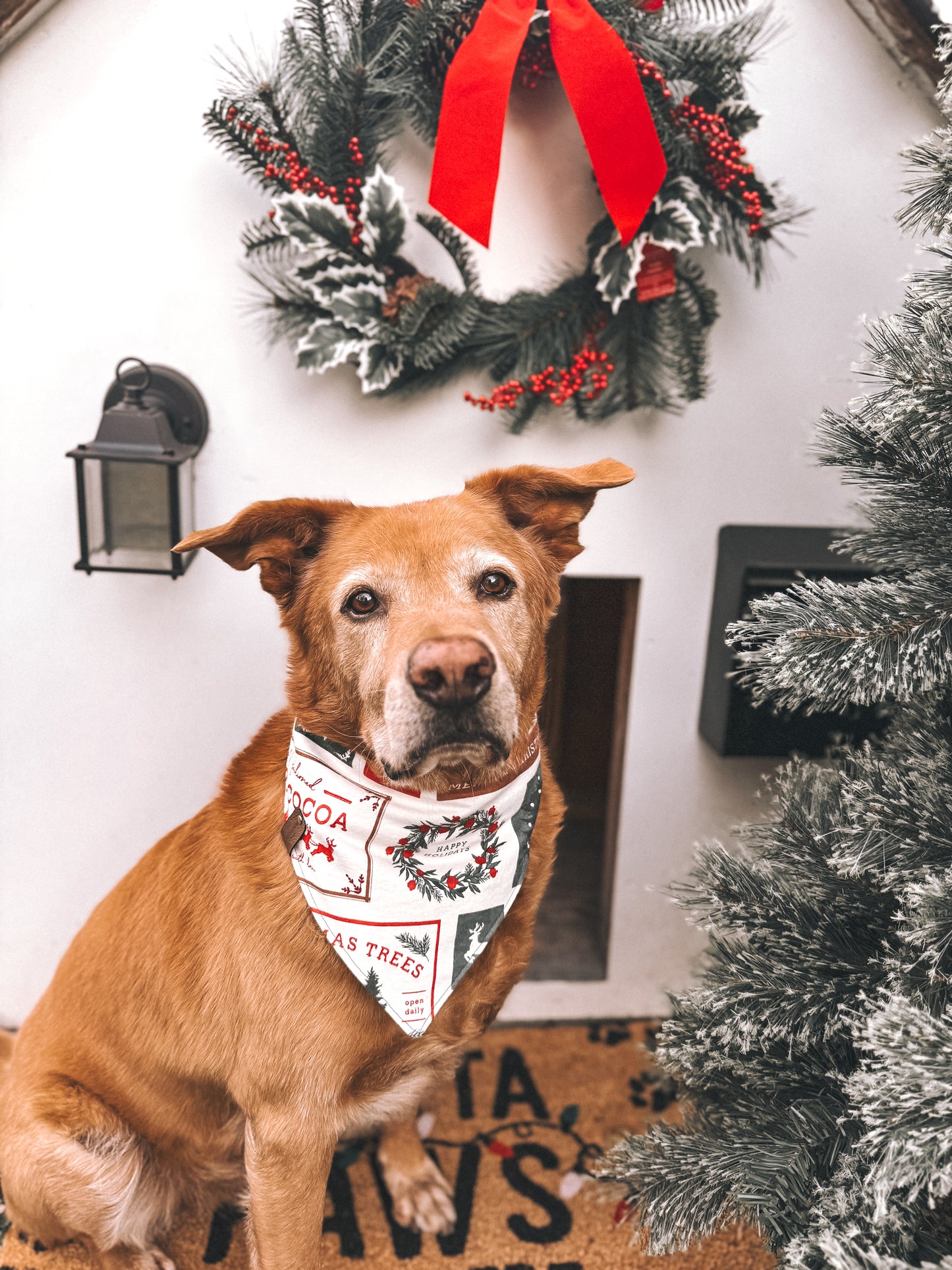 Holiday Flannel Bandana (Reversible)