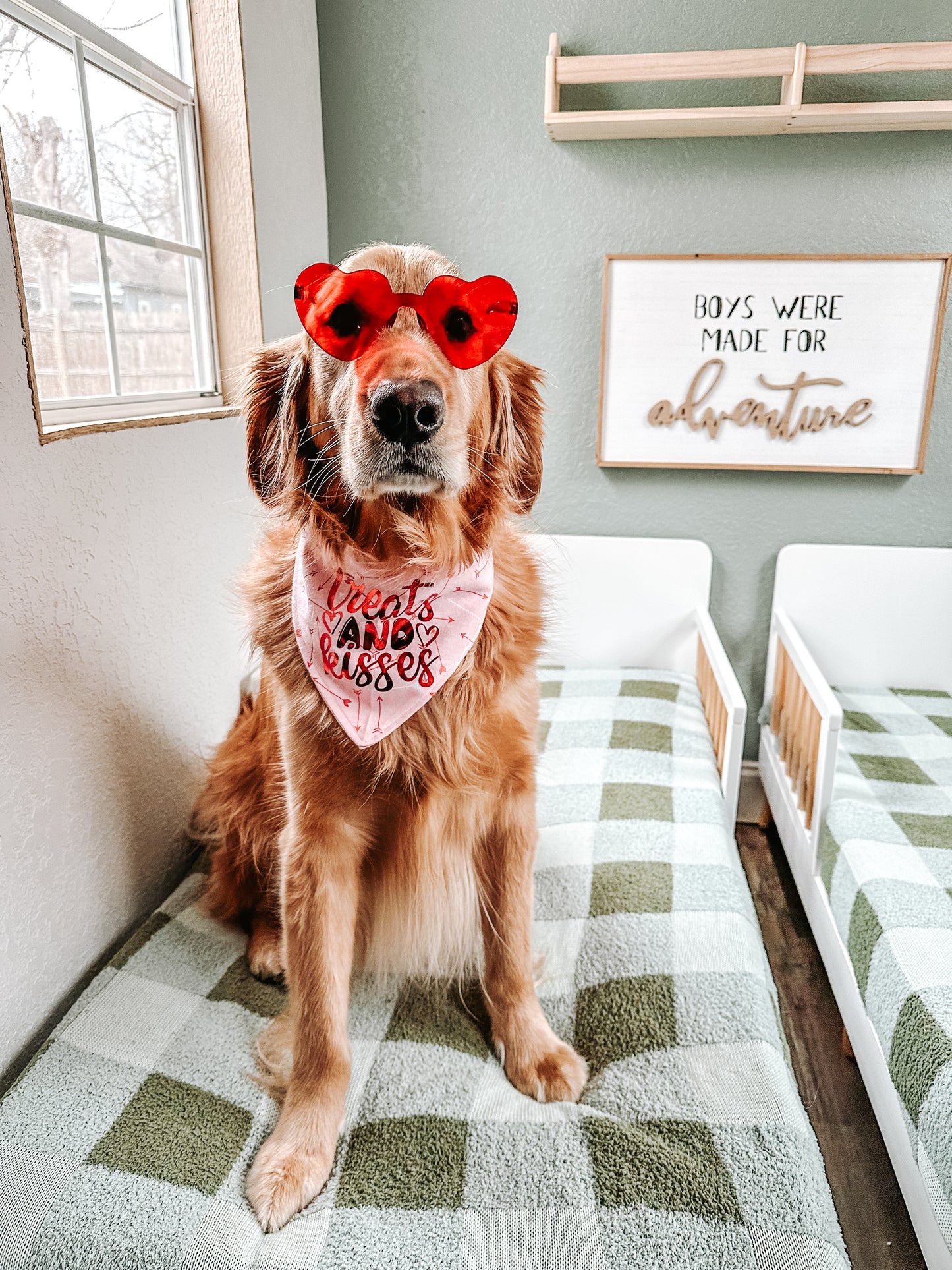 Valentine's Day Basket