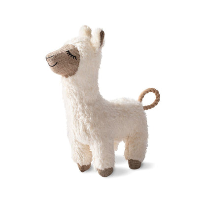 Fleeced To Meet You Earth Friendly Dog Toy
