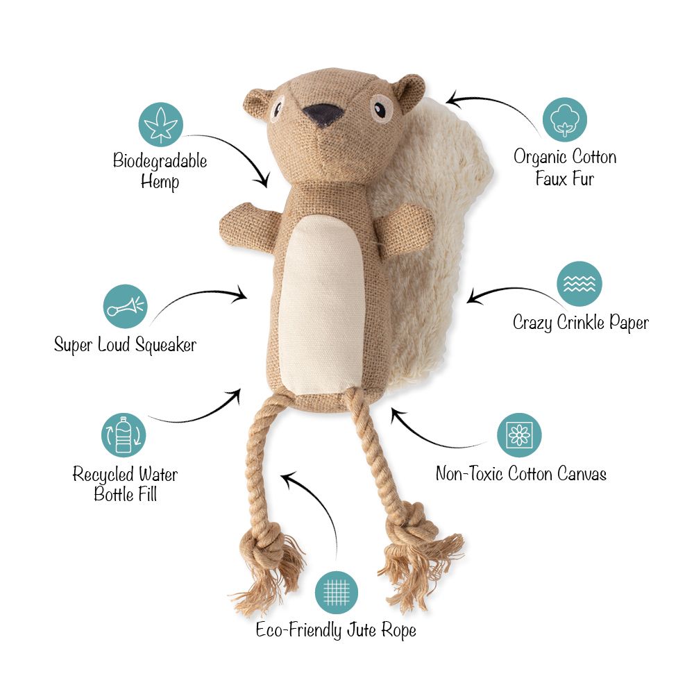 Bring More Nuts! Earth Friendly Dog Toy