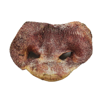 Freeze Dried Raw Pig Snouts
