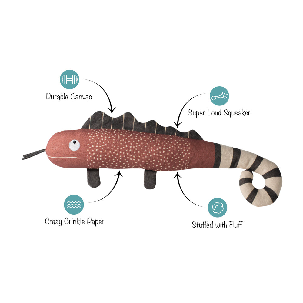 Once In A Chameleon Canvas Dog Toy