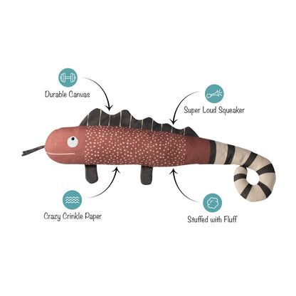 Once In A Chameleon Canvas Dog Toy