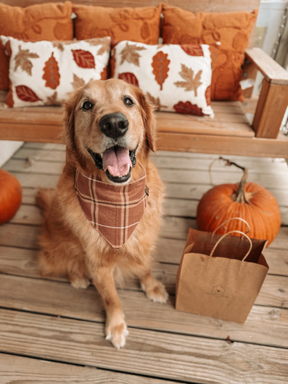 Thanksgiving Bundle