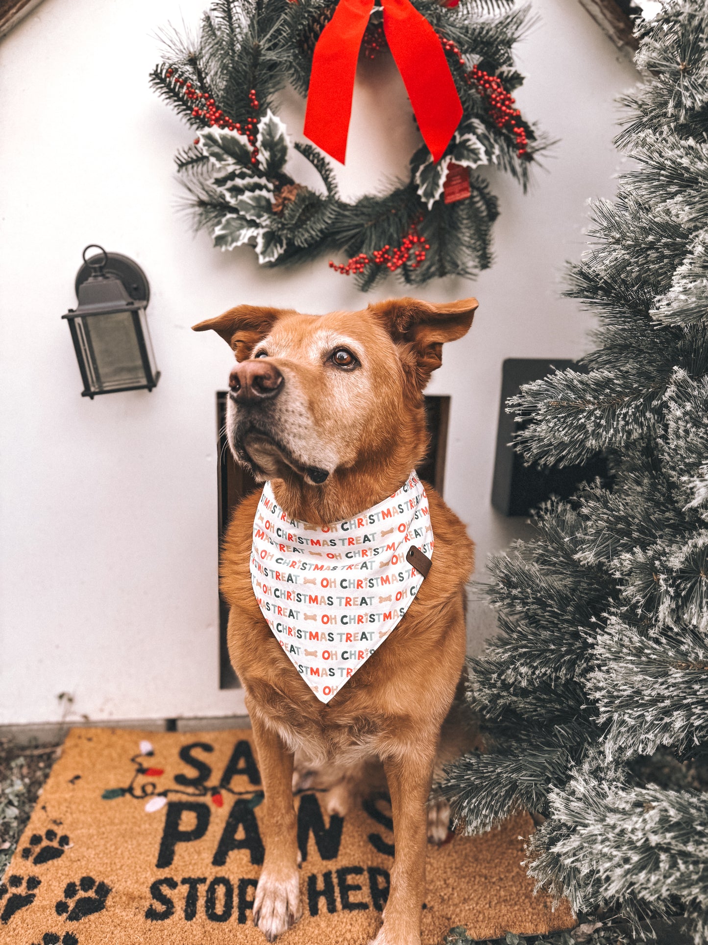 Oh Christmas Treat Bandana (Reversible)