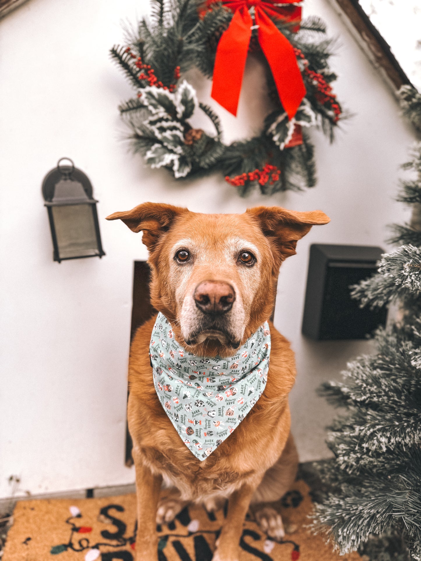 Oh Christmas Treat Bandana (Reversible)