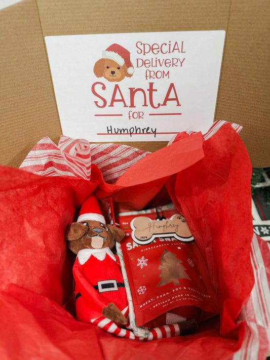 Santa's Little Helper Box